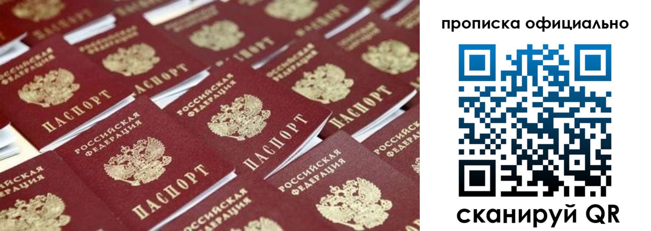 прописка гарантия в Домодедово